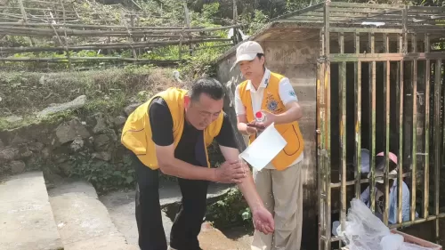 照片